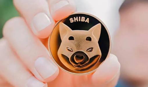 Shiba Inu Coin What Is It