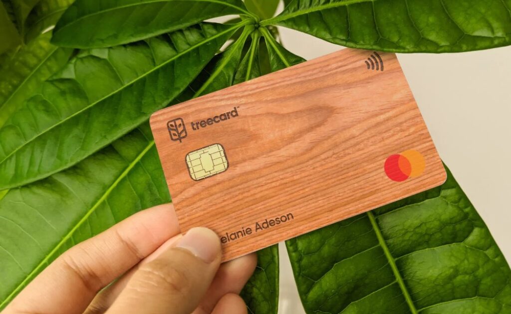 Sustainable and Eco-Friendly Credit Cards