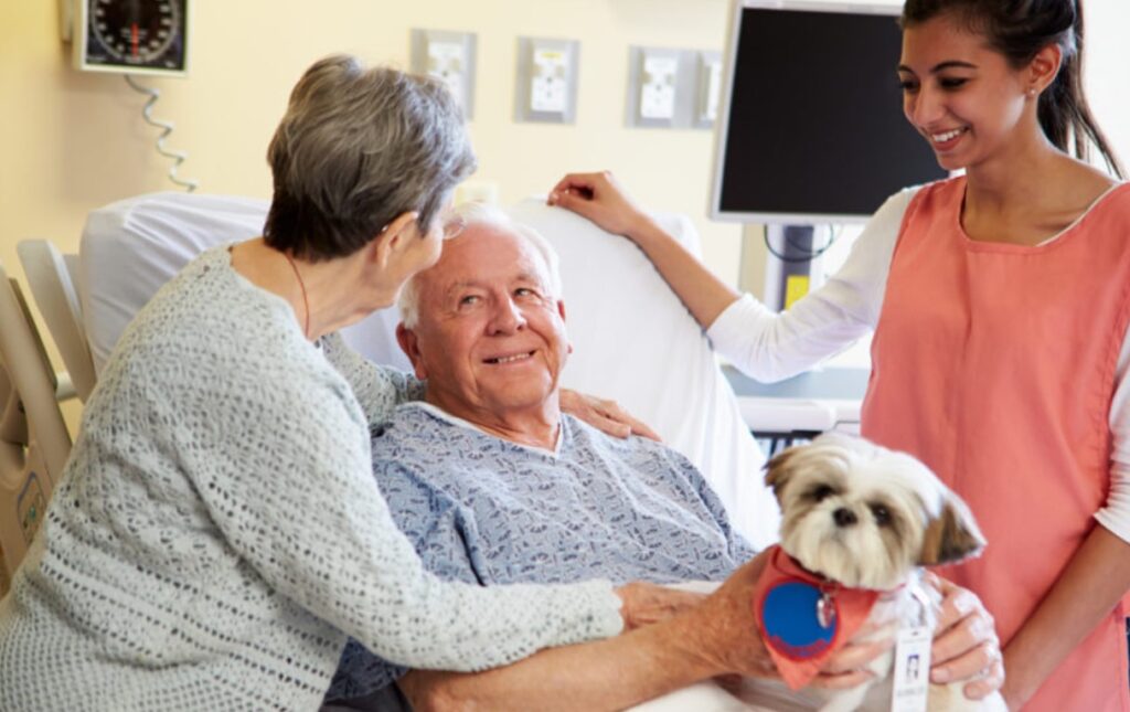 What Does Animal Assisted Therapy Insurance Typically Cover